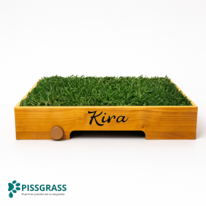 PissGrass Baño Ecológico Mediano para Perros Medianos