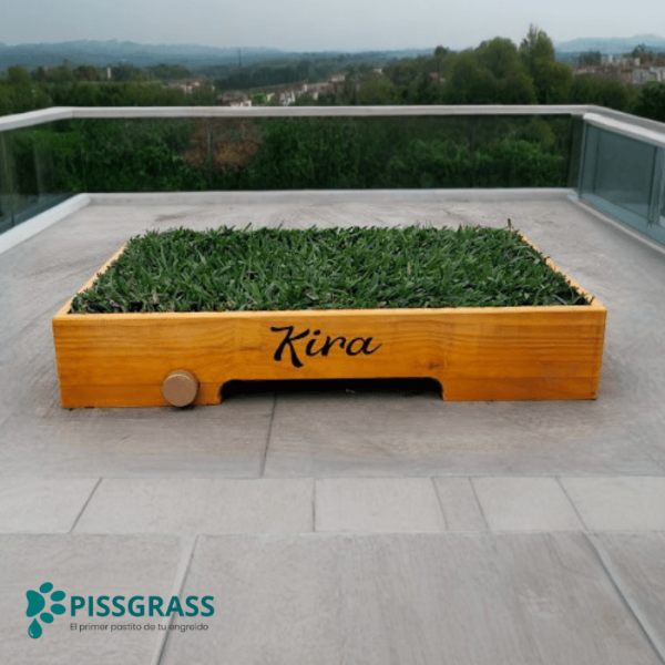 PissGrass Baño Ecológico Mediano para Perros Medianos - Imagen 2