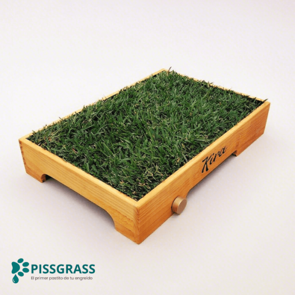 PissGrass Baño Ecológico Mediano para Perros Medianos - Imagen 3
