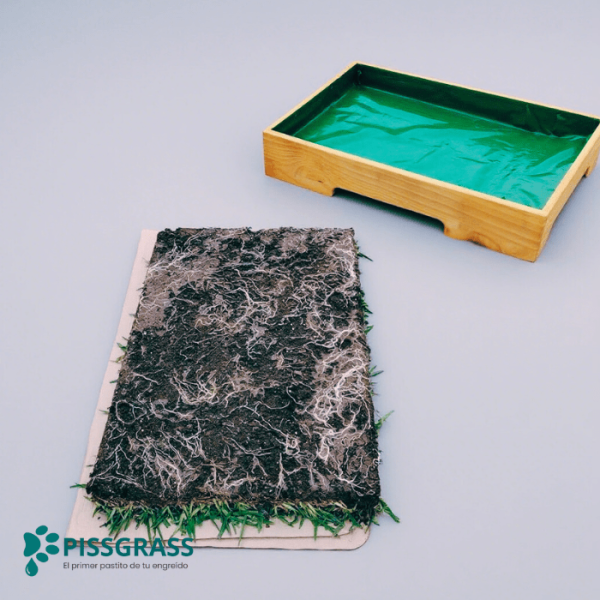 PissGrass Baño Ecológico Mediano para Perros Medianos - Imagen 6