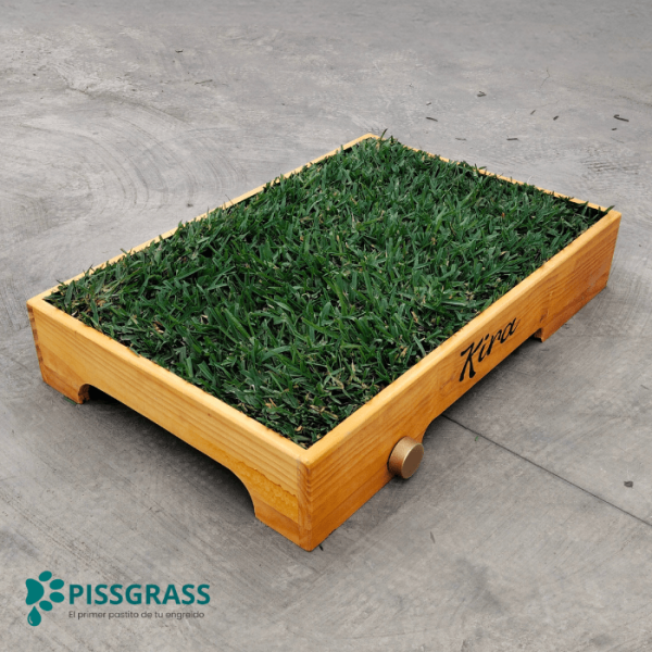 PissGrass Baño Ecológico Mediano para Perros Medianos - Imagen 5