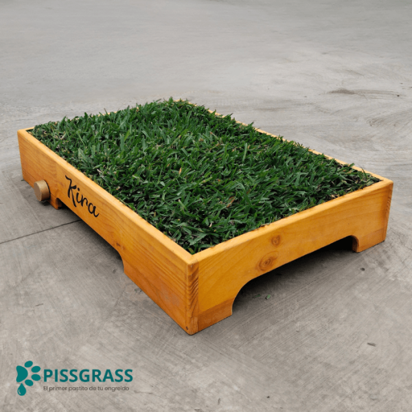 PissGrass Baño Ecológico Mediano para Perros Medianos - Imagen 4