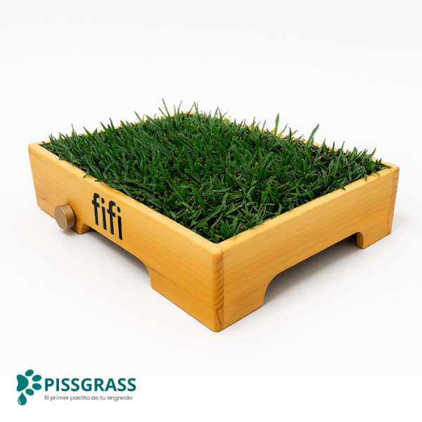 Pissgrass: Baño Ecológico Estándar para Perros Pequeños - Imagen 3