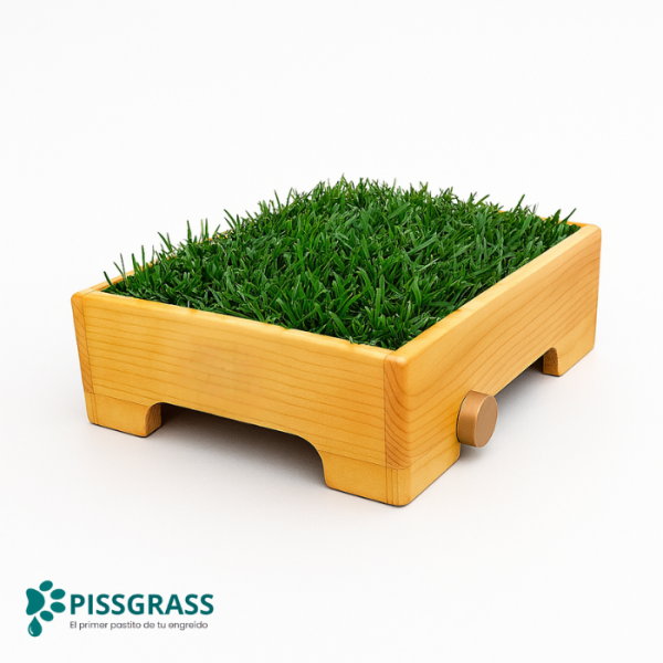 Pissgrass: Baño Ecológico Estándar para Perros Pequeños - Imagen 2