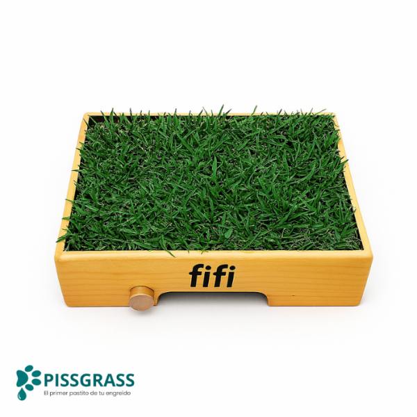 Pissgrass: Baño Ecológico Estándar para Perros Pequeños - Imagen 5