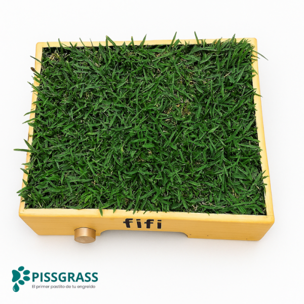 Pissgrass: Baño Ecológico Estándar para Perros Pequeños - Imagen 4