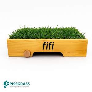 Pissgrass: Baño Ecológico Estándar para Perros Pequeños