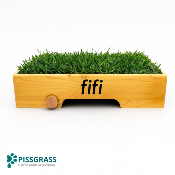 Pissgrass: Baño Ecológico Estándar para Perros Pequeños